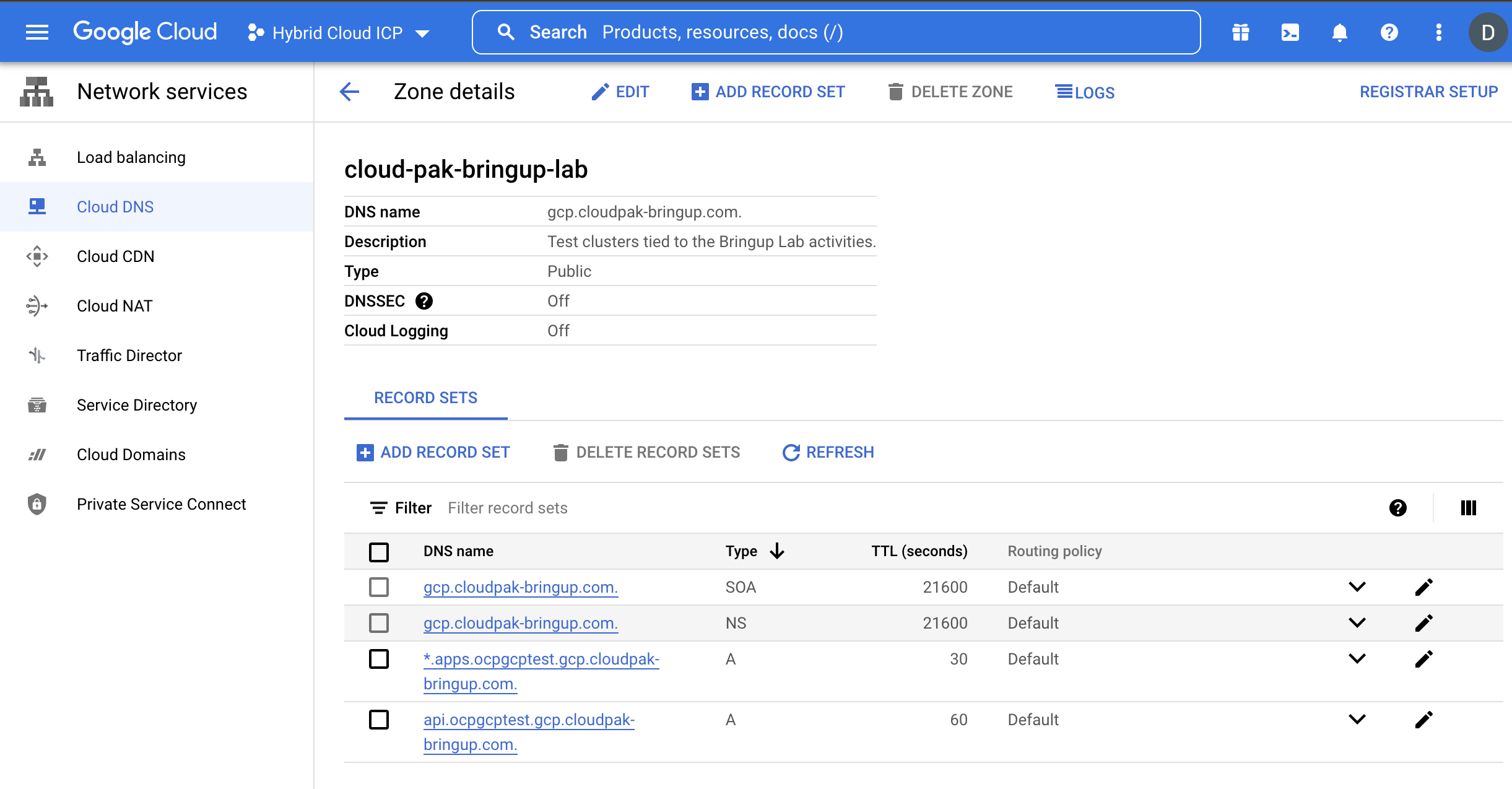 Screenshot of DNS record sets in the new DNS zone created in GCP