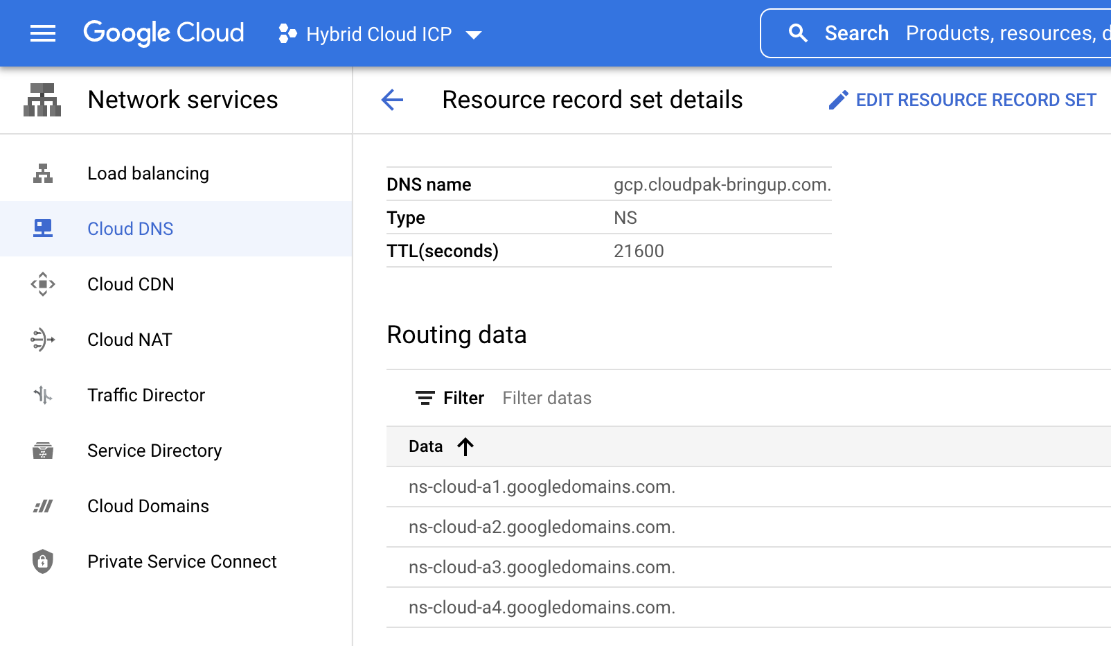 View of the "Resource record set details" containing the list of DNS names for the new DNS zone