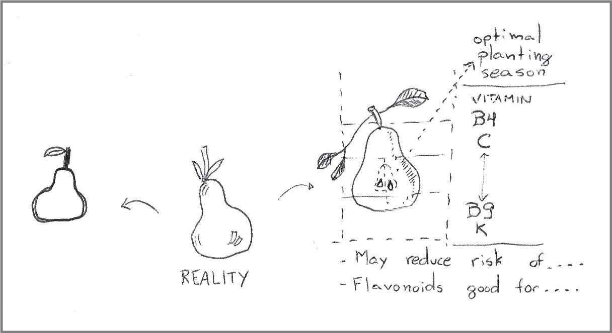 Drawing of three pears. On the center there is a reasonably decent drawing of a pear, with some shading and some detail around the stem and leaves. On the left, there is a crude drawing of the pear, mostly an outline. On the right, there is a detailed drawing, with a cutout showing the location of seeds, and a more detailed representation of the leaves. There are also multiple callouts on the detailed drawing, showing tables of information about planting seasons and vitamins.