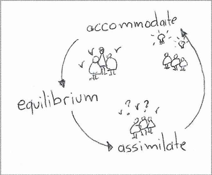 Circular diagram with three nodes representing the phases of an equilibration cycle in constructivist learning theory. Next to a node labeled "equilibrium", there are a few people with the sign of checkmarks next to them. Next to a node labeled "assimilate", some of the checkmarks are replaced by question marks. Next to a node labeled "accommodate", all checkmarks and question marks are replaced by light-bulb signs.