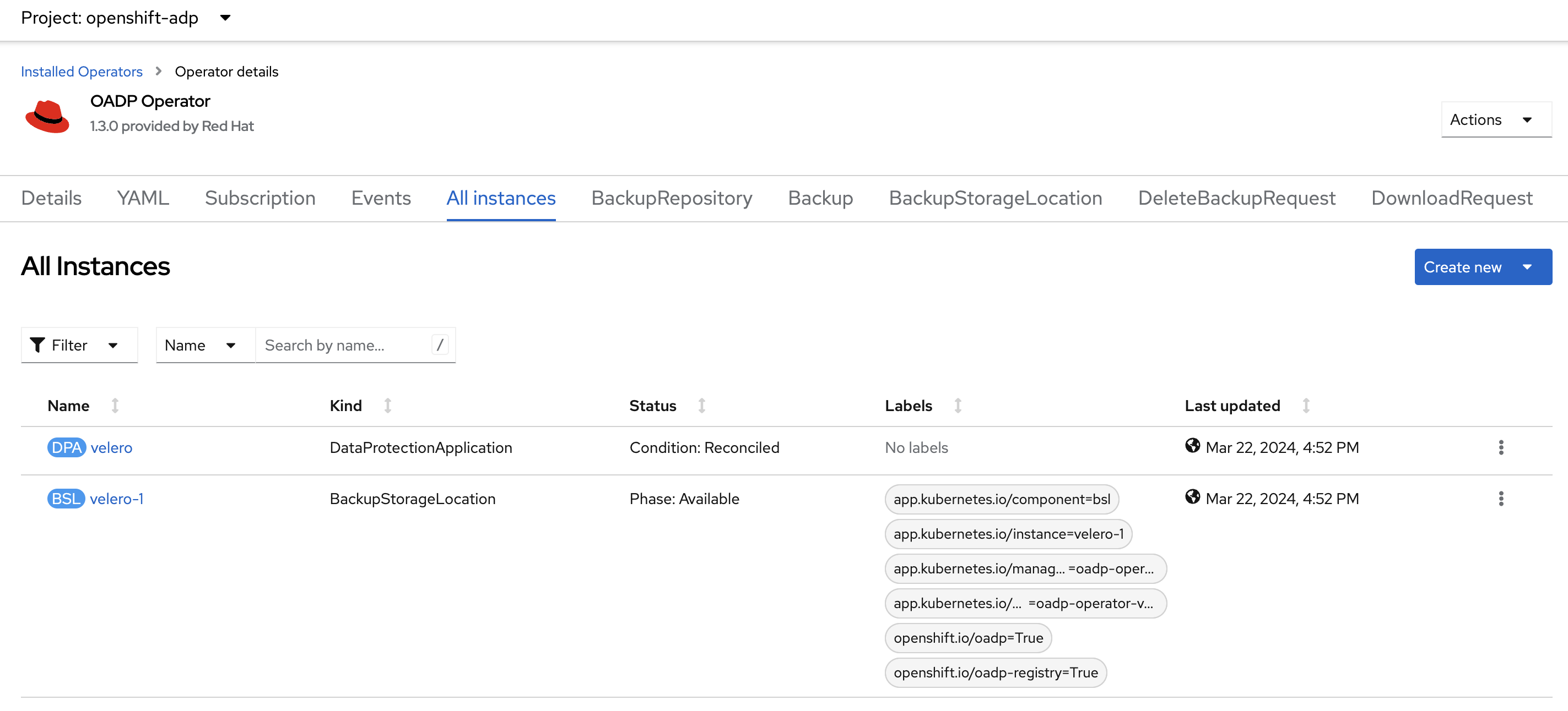 Screenshot of the OADP instances in the cluster